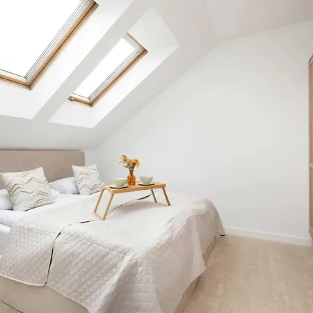 Unique House With 3 Bedrooms, Garden And Air Conditioning By Renters * Katovice