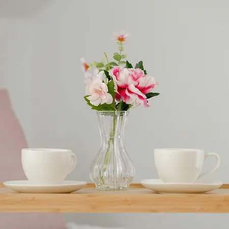 Unique House With 3 Bedrooms, Garden And Air Conditioning By Renters Prázdninový dům Katovice